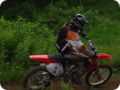 imgp6812_5886.jpg