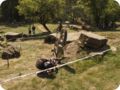 hessentrial_2011_407.jpg
