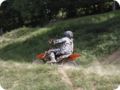 cc_3_4_480.jpg