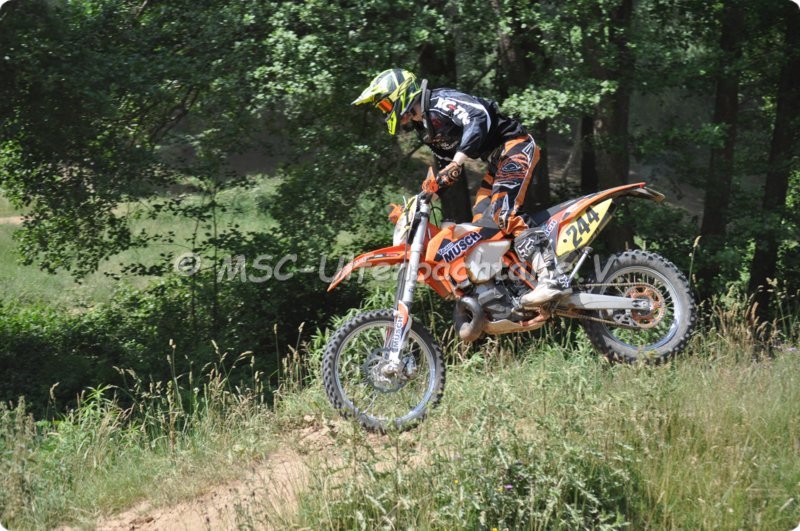 cc14062015_396.jpg
